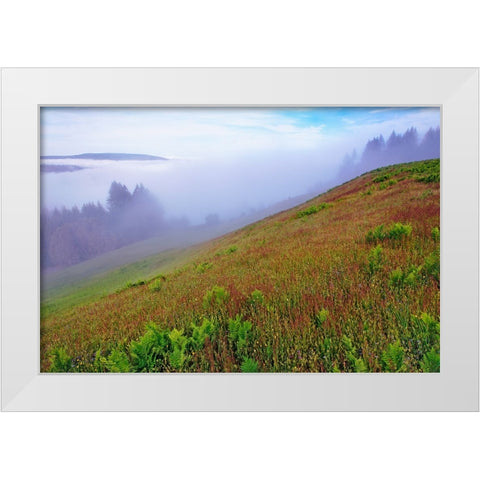 Foggy view of grasses Dolason Prairie White Modern Wood Framed Art Print by Jones, Adam