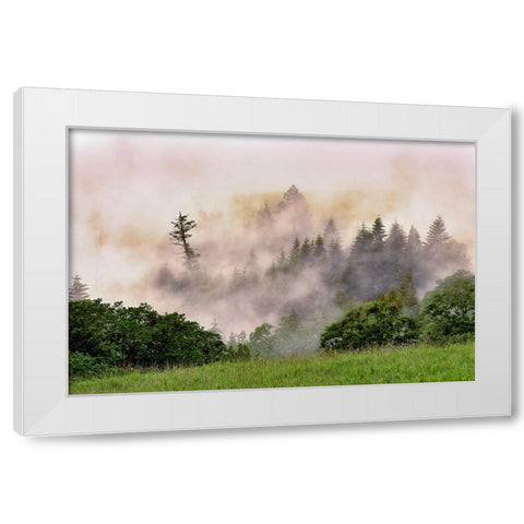 Hillside of evergreen trees among fog-Bald Hills Road-California White Modern Wood Framed Art Print by Jones, Adam