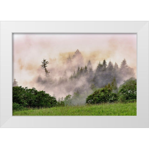 Hillside of evergreen trees among fog-Bald Hills Road-California White Modern Wood Framed Art Print by Jones, Adam