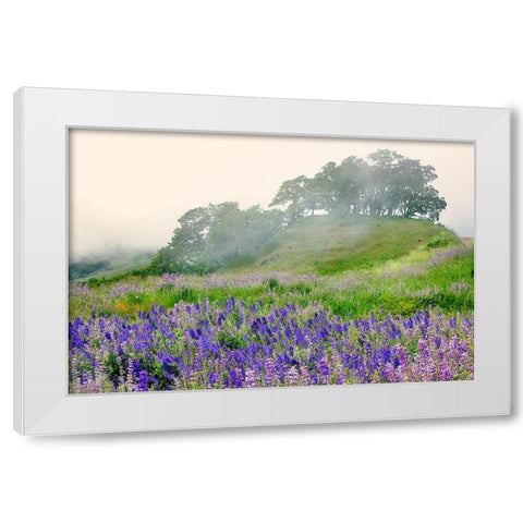 Purple and blue lupine flowers and tree in fog-Bald Hills Road-California White Modern Wood Framed Art Print by Jones, Adam
