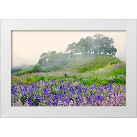 Purple and blue lupine flowers and tree in fog-Bald Hills Road-California White Modern Wood Framed Art Print by Jones, Adam