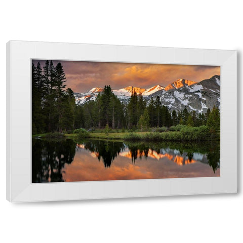 Alpine tarn-Tuolumne Meadows sunrise-Yosemite National Park-California White Modern Wood Framed Art Print by Jones, Adam