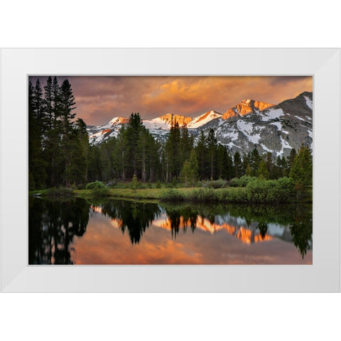 Alpine tarn-Tuolumne Meadows sunrise-Yosemite National Park-California White Modern Wood Framed Art Print by Jones, Adam