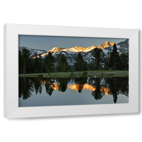 Alpine tarn-Tuolumne Meadows sunrise-Yosemite National Park-California White Modern Wood Framed Art Print by Jones, Adam