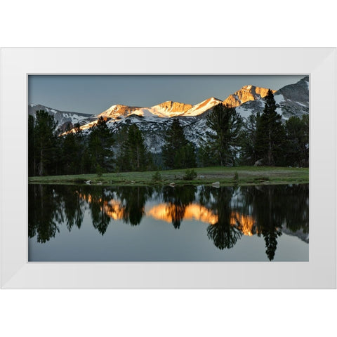 Alpine tarn-Tuolumne Meadows sunrise-Yosemite National Park-California White Modern Wood Framed Art Print by Jones, Adam