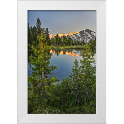 Alpine tarn-Tuolumne Meadows sunrise-Yosemite National Park-California White Modern Wood Framed Art Print by Jones, Adam