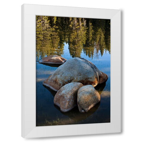 Rocks in Tuolumne River-Tuolumne Meadows-Yosemite National Park-California White Modern Wood Framed Art Print by Jones, Adam