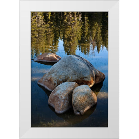 Rocks in Tuolumne River-Tuolumne Meadows-Yosemite National Park-California White Modern Wood Framed Art Print by Jones, Adam