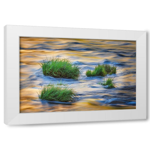 Sunset reflection on Merced River-Yosemite National Park-California White Modern Wood Framed Art Print by Jones, Adam