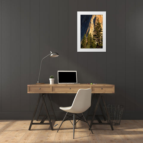 Pines at base of El Capitan-Yosemite National Park-California White Modern Wood Framed Art Print by Jones, Adam