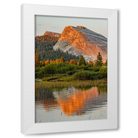Tuolumne Meadows and Lembert Dome reflected in Tuolumne River White Modern Wood Framed Art Print by Jones, Adam
