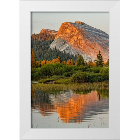 Tuolumne Meadows and Lembert Dome reflected in Tuolumne River White Modern Wood Framed Art Print by Jones, Adam