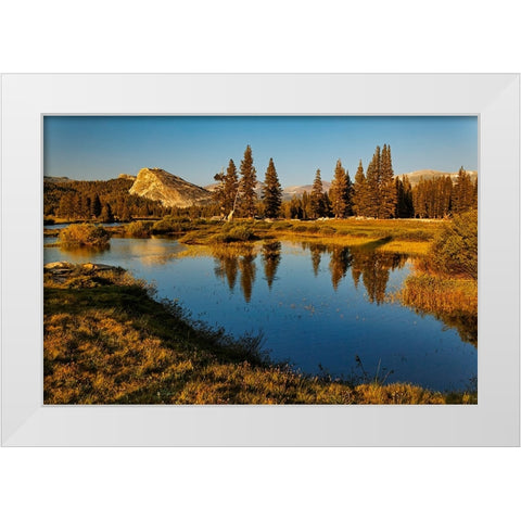 Lembert Dome reflected on Tuolumne River at sunset-Yosemite National Park-California White Modern Wood Framed Art Print by Jones, Adam