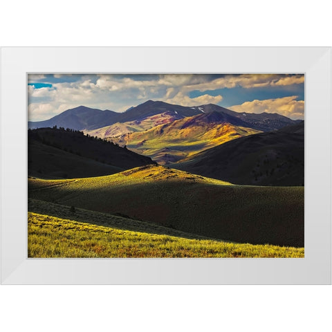 View of meadow in the White Mountains at sunset-Inyo National Forest-California White Modern Wood Framed Art Print by Jones, Adam