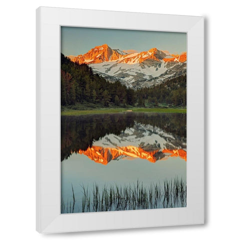 Alpine tarn-Tuolumne Meadows sunrise-Yosemite National Park-California White Modern Wood Framed Art Print by Jones, Adam
