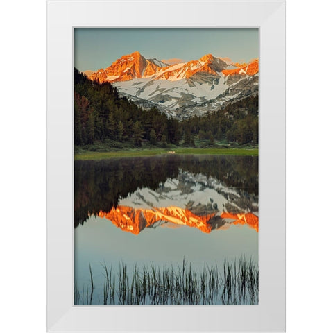 Alpine tarn-Tuolumne Meadows sunrise-Yosemite National Park-California White Modern Wood Framed Art Print by Jones, Adam