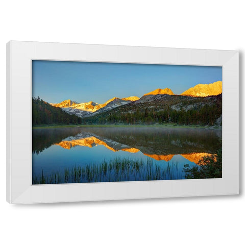 Alpine tarn-Tuolumne Meadows sunrise-Yosemite National Park-California White Modern Wood Framed Art Print by Jones, Adam