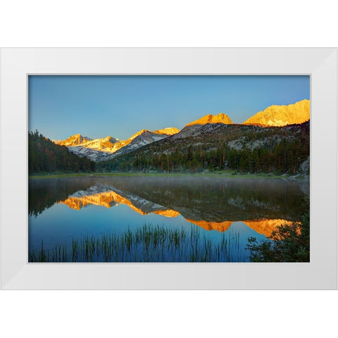Alpine tarn-Tuolumne Meadows sunrise-Yosemite National Park-California White Modern Wood Framed Art Print by Jones, Adam