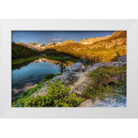 Alpine tarn-Tuolumne Meadows sunrise-Yosemite National Park-California White Modern Wood Framed Art Print by Jones, Adam