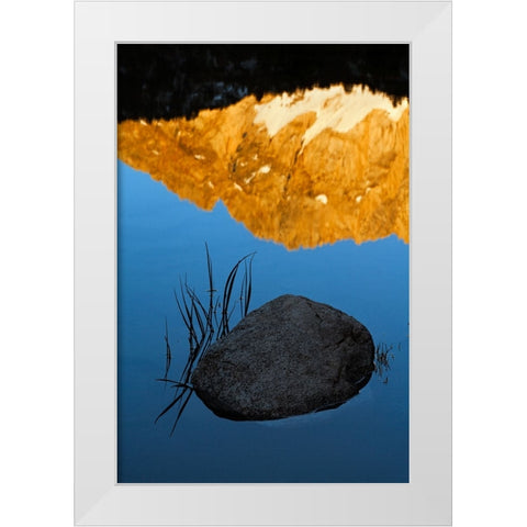 Boulder and grass stems in Alpine tarn-Tuolumne Meadows sunrise-Yosemite National Park-California White Modern Wood Framed Art Print by Jones, Adam