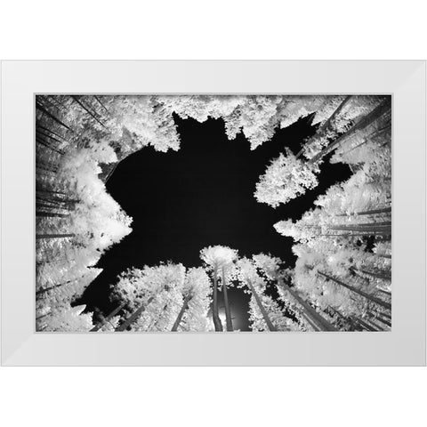 Infrared image of view up through trees-Yosemite National Park-California White Modern Wood Framed Art Print by Jones, Adam