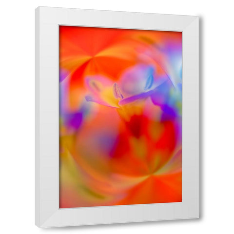 Abstract of Davy Gilia flowers-Antelope Valley California Poppy Preserve-Lancaster-California White Modern Wood Framed Art Print by Jones, Adam