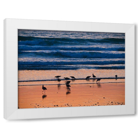 Morro Bay Shore White Modern Wood Framed Art Print by Miller, Anna
