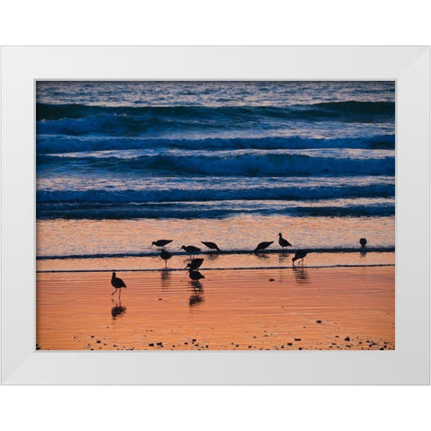 Morro Bay Shore White Modern Wood Framed Art Print by Miller, Anna