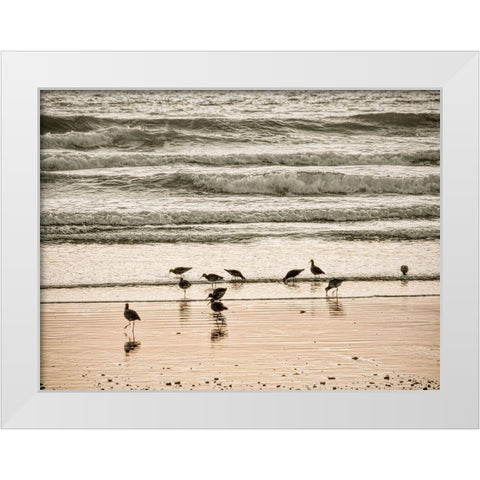 Morro Bay Shore White Modern Wood Framed Art Print by Miller, Anna