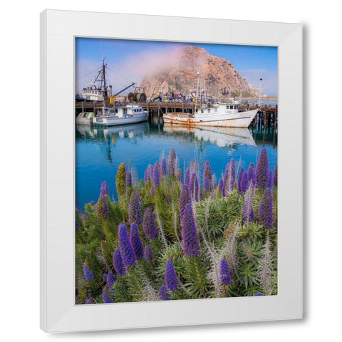 Boat Docks on Morro Bay-California-USA White Modern Wood Framed Art Print by Miller, Anna