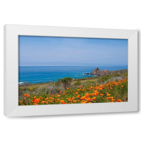 California Poppies-Big Sur-California-USA White Modern Wood Framed Art Print by Miller, Anna