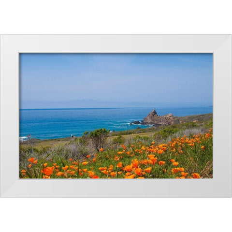California Poppies-Big Sur-California-USA White Modern Wood Framed Art Print by Miller, Anna