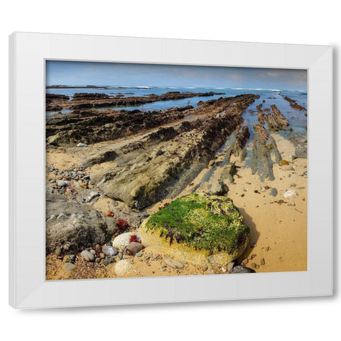 Geological Rock Formations-Fitzgerald Marine Reserve-California-USA White Modern Wood Framed Art Print by Miller, Anna