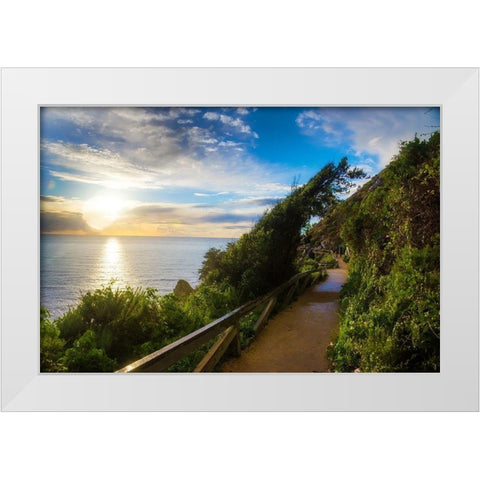 Sunset-Julia Pfeiffer Burns State Park-Big Sur-California-USA White Modern Wood Framed Art Print by Miller, Anna