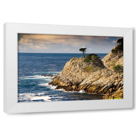 Cypress on Coastal Cliff-Point Lobos State Natural Reserve-California-USA White Modern Wood Framed Art Print by Miller, Anna
