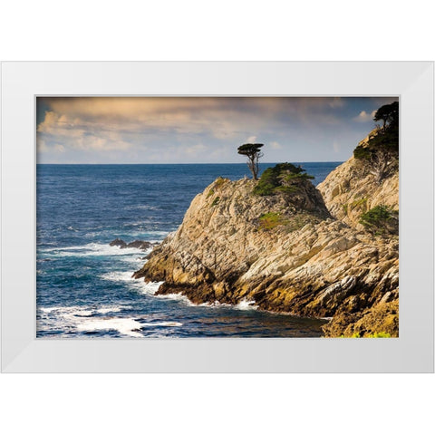 Cypress on Coastal Cliff-Point Lobos State Natural Reserve-California-USA White Modern Wood Framed Art Print by Miller, Anna