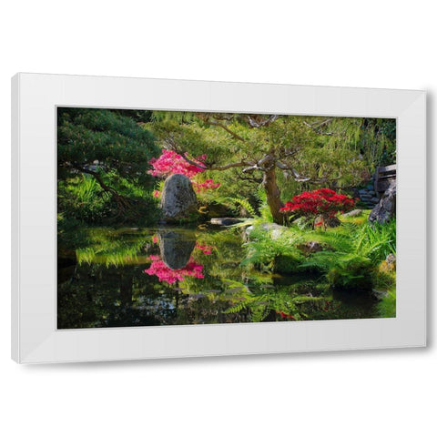 Japanese Tea Garden-Golden Gate Park-San Francisco-California-USA White Modern Wood Framed Art Print by Miller, Anna