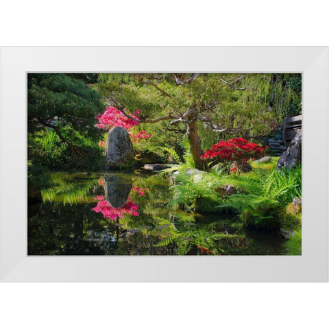 Japanese Tea Garden-Golden Gate Park-San Francisco-California-USA White Modern Wood Framed Art Print by Miller, Anna