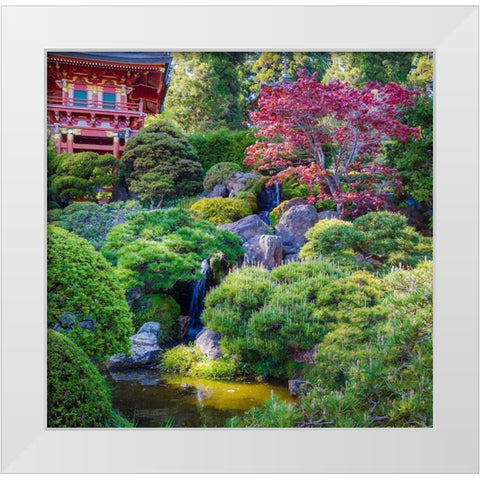 Pagoda-Japanese Tea Garden-Golden Gate Park-San Francisco-California-USA White Modern Wood Framed Art Print by Miller, Anna