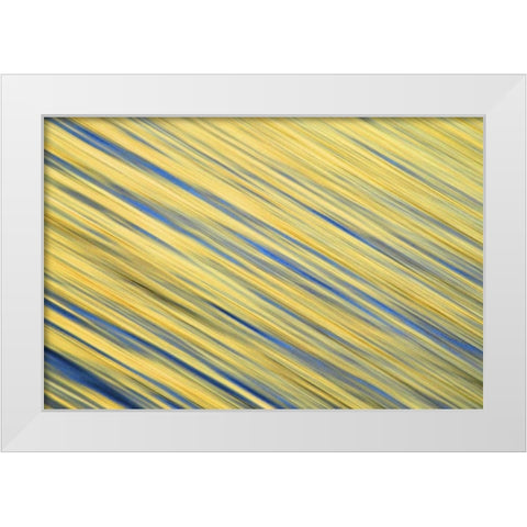 CA, La Jolla Abstract blur of ocean at dawn White Modern Wood Framed Art Print by Morris, Arthur