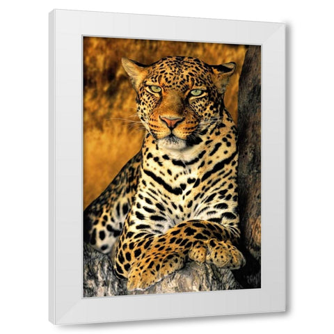 CA, Los Angeles Co, African leopard White Modern Wood Framed Art Print by Welling, Dave