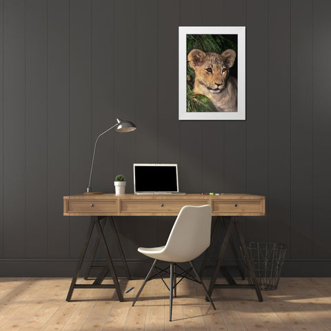 CA, Los Angeles Co, African lion cub White Modern Wood Framed Art Print by Welling, Dave