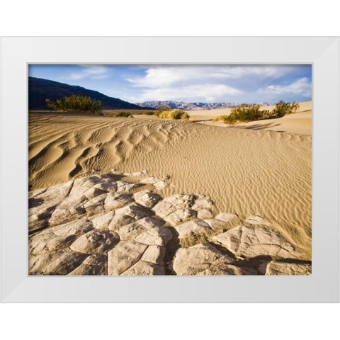 CA, Death Valley NP Mesquite Flat Sand Dunes White Modern Wood Framed Art Print by Kaveney, Wendy