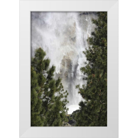 CA, Yosemite View o fYosemite Falls in March White Modern Wood Framed Art Print by Noble Gardner, Nancy