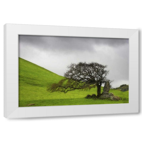 California An oak stands alone under clouds White Modern Wood Framed Art Print by Paulson, Don