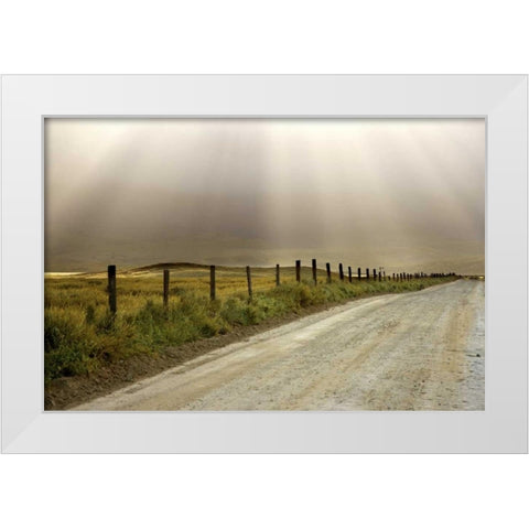 USA, California Country road lit by sun rays White Modern Wood Framed Art Print by Paulson, Don