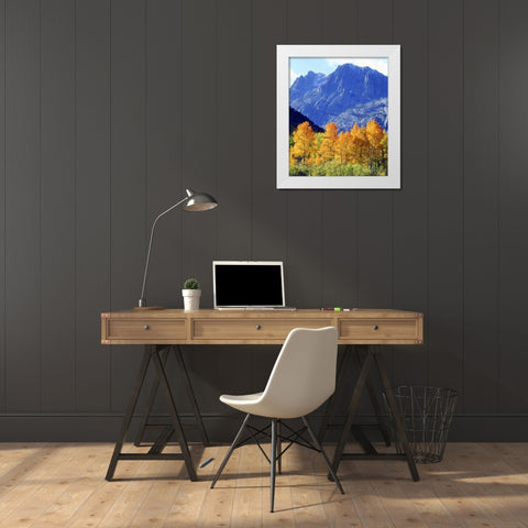 CA, Sierra Nevada Autumn on trees in valley White Modern Wood Framed Art Print by Talbot Frank, Christopher