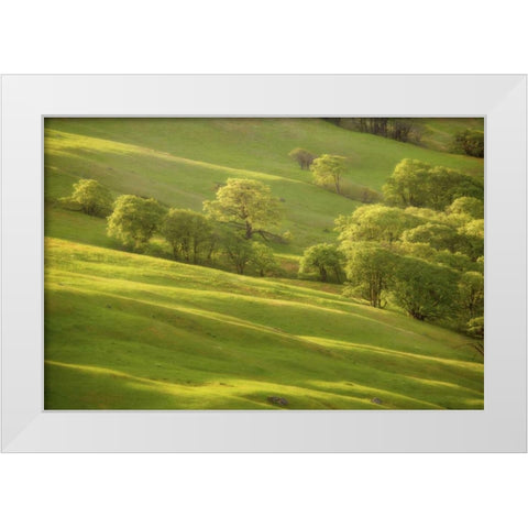 CA, Redwoods Sunrise on green sloping meadow White Modern Wood Framed Art Print by Paulson, Don