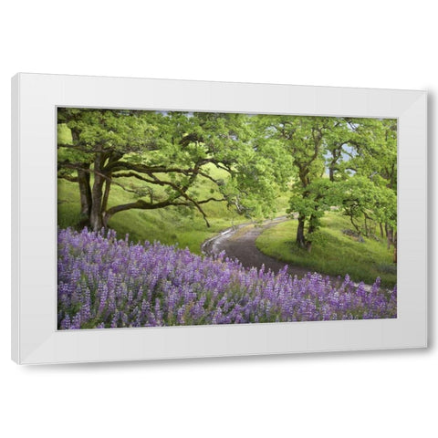 CA, Redwoods Road winds past flowers and trees White Modern Wood Framed Art Print by Paulson, Don