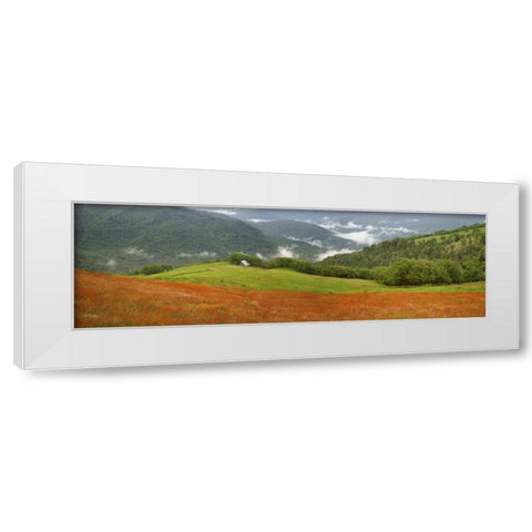 CA, Redwoods Mountain scenic with old barn White Modern Wood Framed Art Print by Paulson, Don